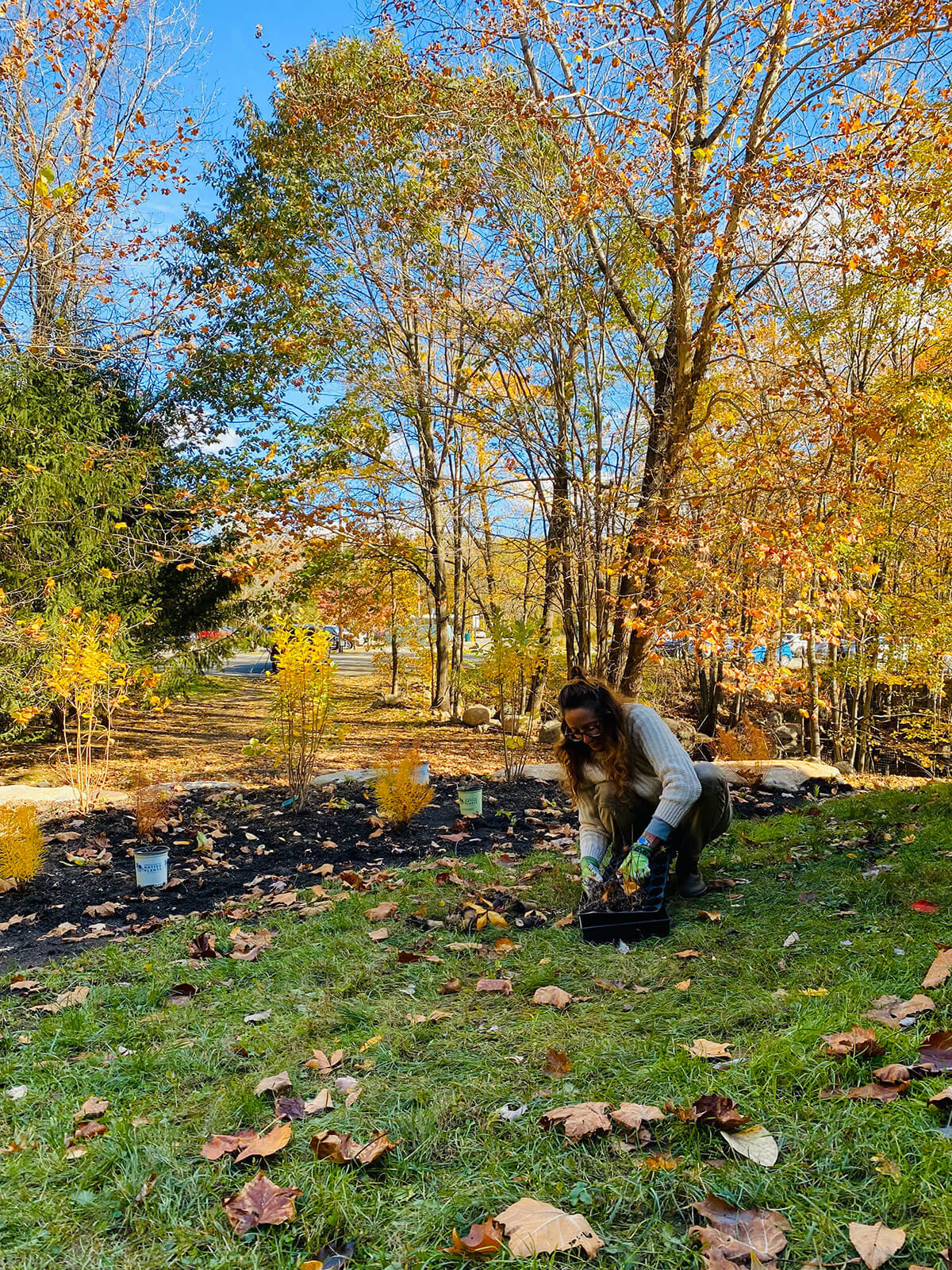 Blue Cabin Gardens -<br />
garden design, installation, and management